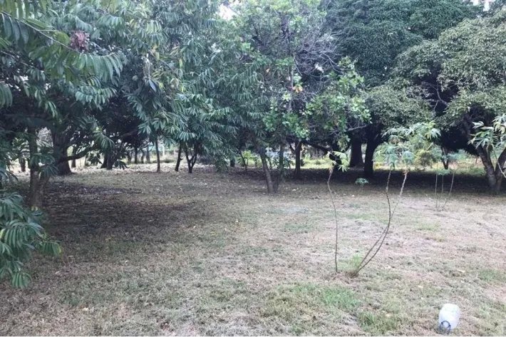 Se vende terreno en Gorgona