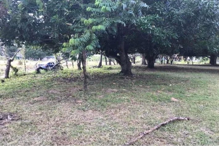 Se vende terreno en Gorgona