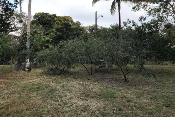 Se vende terreno en Gorgona