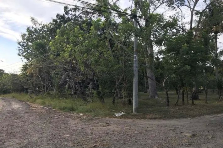 Se vende terreno en Gorgona