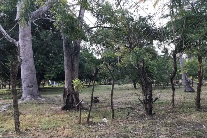 Se vende terreno en Gorgona