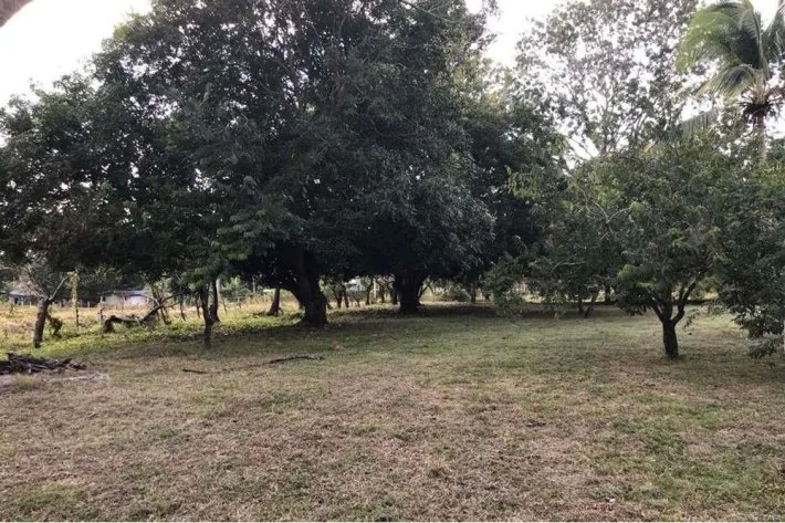 Se vende terreno en Gorgona