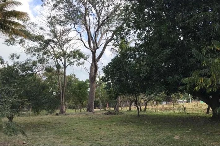 Se vende terreno en Gorgona