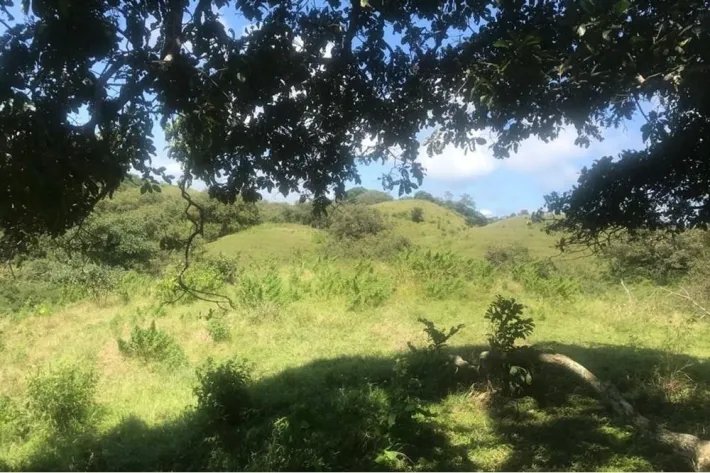 Se vende finca en Playa Venao, Los Santos