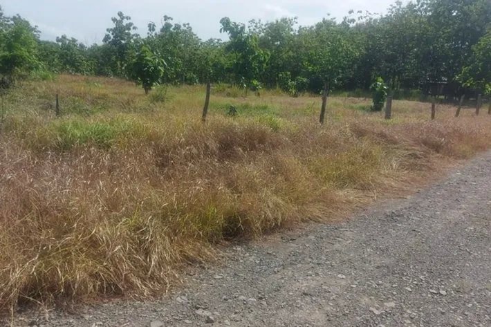 Venta de lote de terreno en Gorgona, Panamá