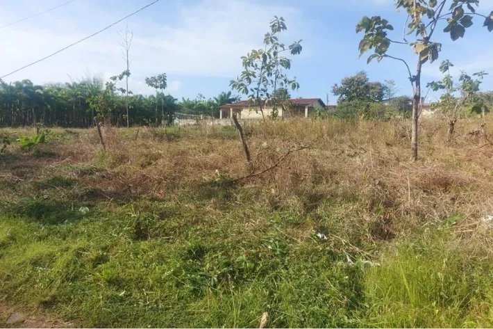 Venta de lote de terreno en Gorgona, Panamá