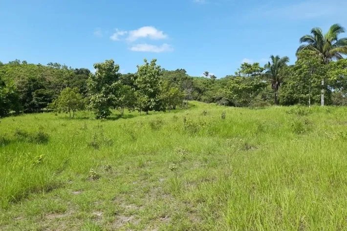 Se vende Finca en Ponuga, Veraguas.
