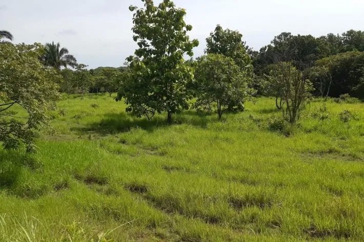 Sale Property in Ponuga, Veraguas Province: