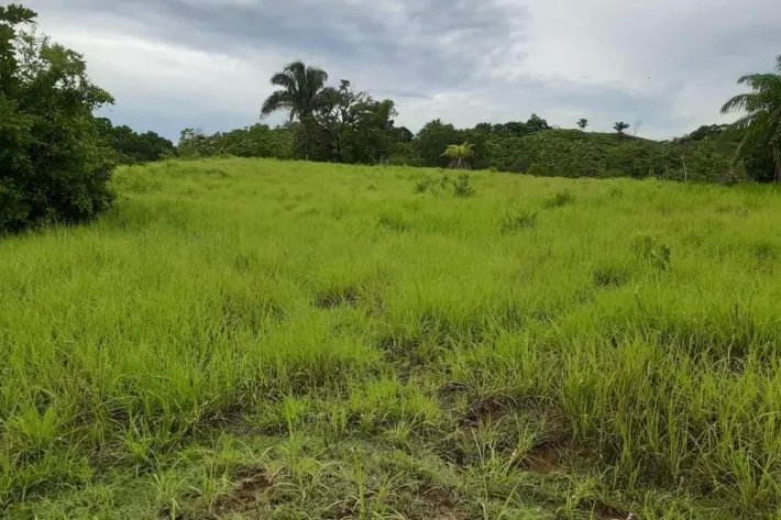 Sale Property in Ponuga, Veraguas Province: