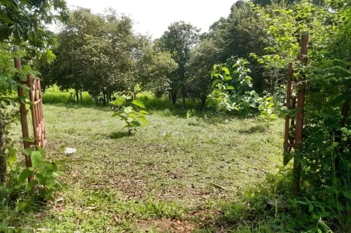 Sale Property in Ponuga, Veraguas Province: