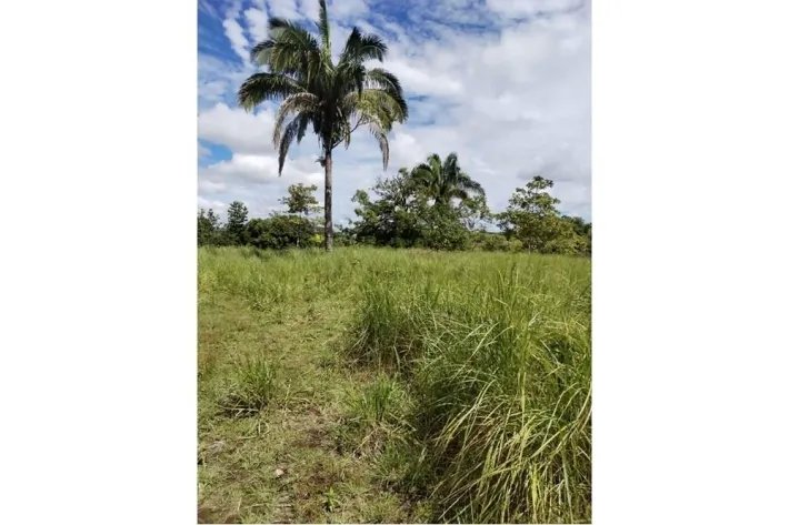 Sale Property in Ponuga, Veraguas Province: