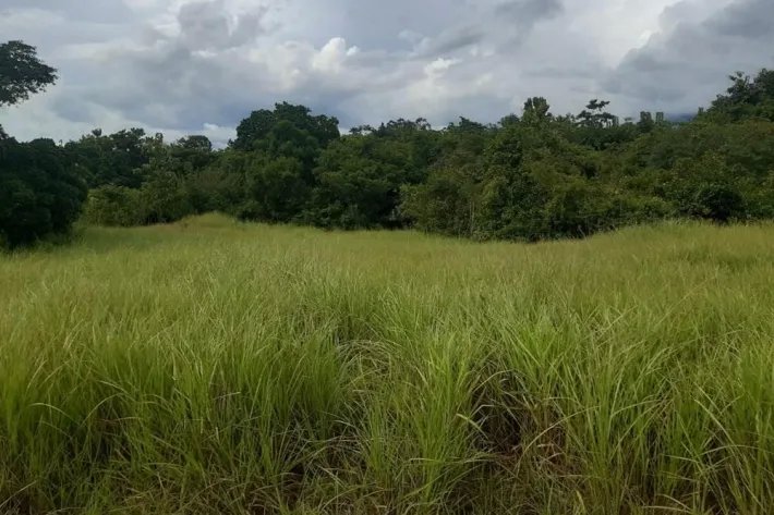 Sale Property in Ponuga, Veraguas Province: