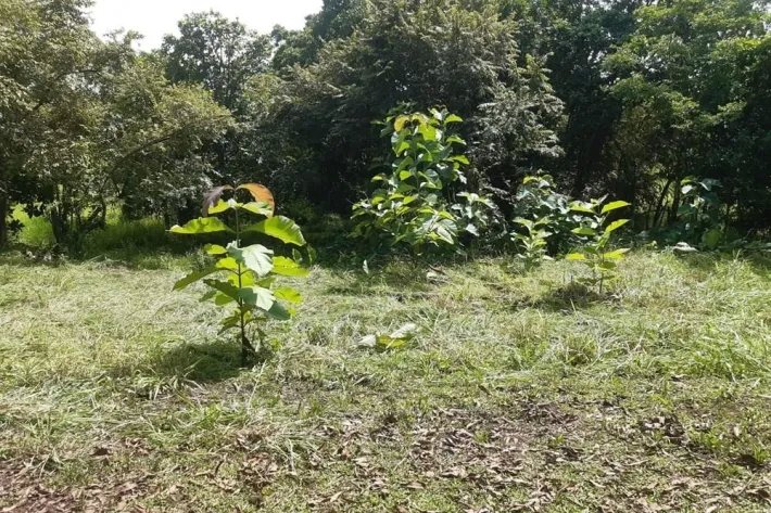 Sale Property in Ponuga, Veraguas Province: