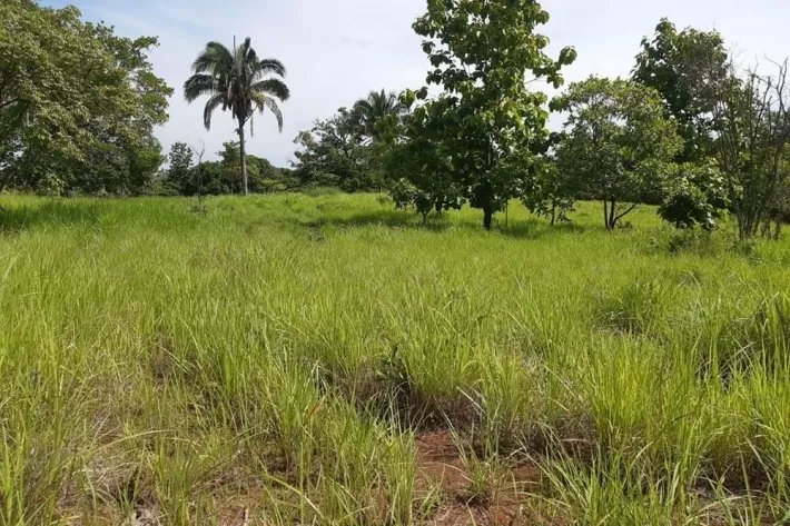 Sale Property in Ponuga, Veraguas Province: