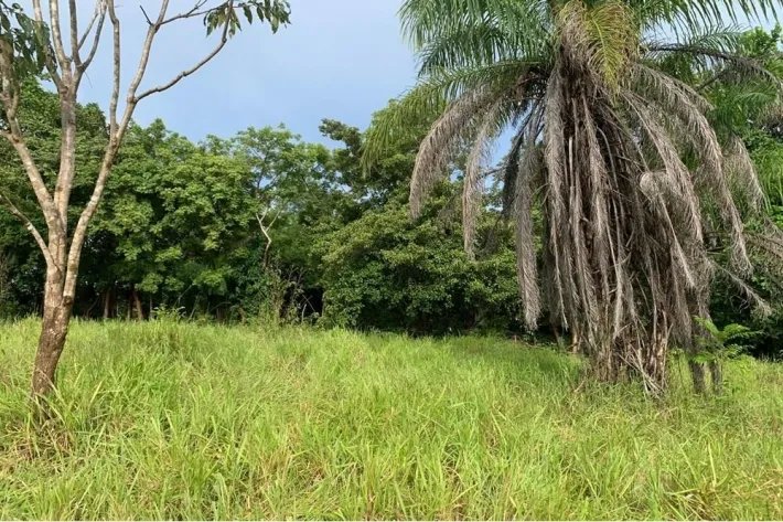2 hectáreas tituladas en Lagartero, cerca de Santa Catalina, $75,000.