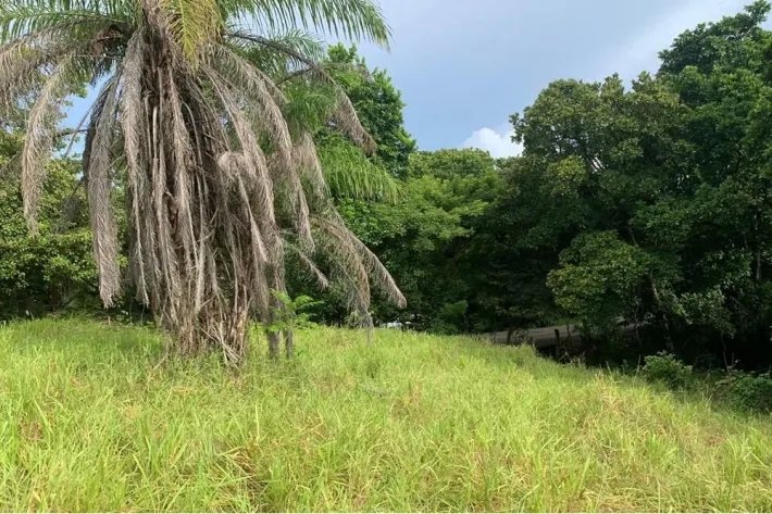 2 hectáreas tituladas en Lagartero, cerca de Santa Catalina, $75,000.