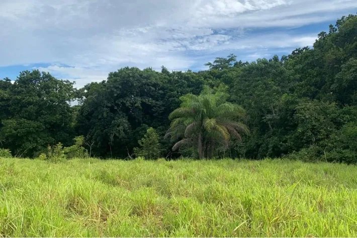 2 hectáreas tituladas en Lagartero, cerca de Santa Catalina, $75,000.