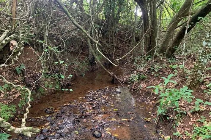 2 hectares titled in Lagartero, near Santa Catalina, $75,000.