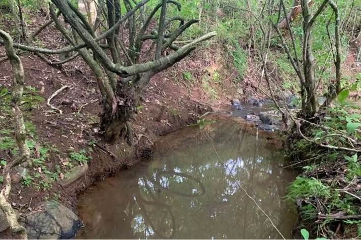 2 hectares titled in Lagartero, near Santa Catalina, $75,000.