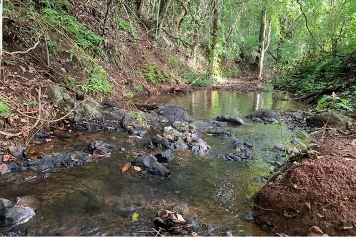 2 hectares titled in Lagartero, near Santa Catalina, $75,000.