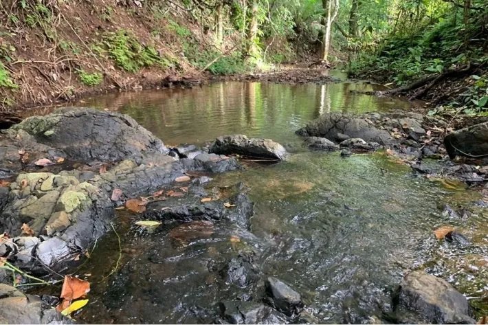 2 hectares titled in Lagartero, near Santa Catalina, $75,000.