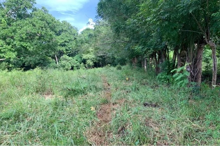 2 hectares titled in Lagartero, near Santa Catalina, $75,000.
