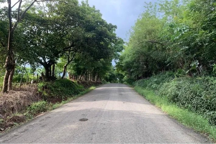 2 hectares titled in Lagartero, near Santa Catalina, $75,000.