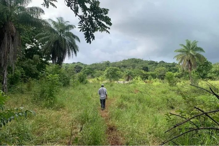 2 hectares titled in Lagartero, near Santa Catalina, $75,000.