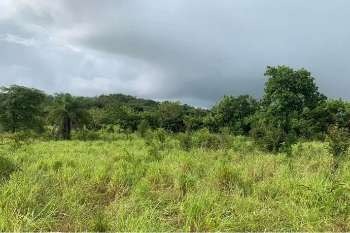 2 hectares titled in Lagartero, near Santa Catalina, $75,000.