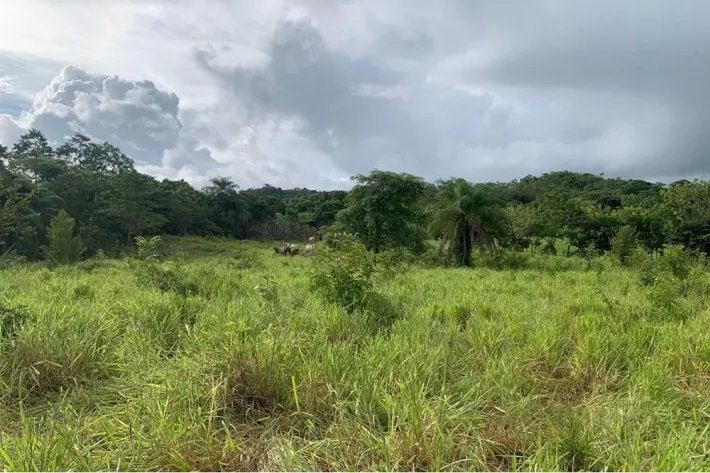 2 hectares titled in Lagartero, near Santa Catalina, $75,000.