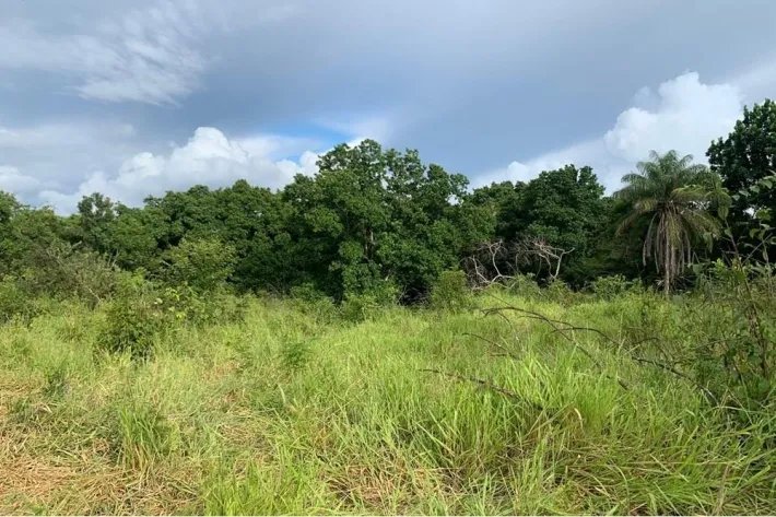 2 hectares titled in Lagartero, near Santa Catalina, $75,000.