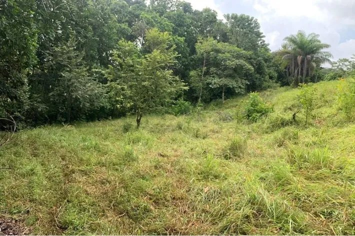 2 hectares titled in Lagartero, near Santa Catalina, $75,000.