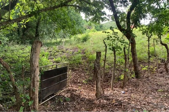 2 hectares titled in Lagartero, near Santa Catalina, $75,000.
