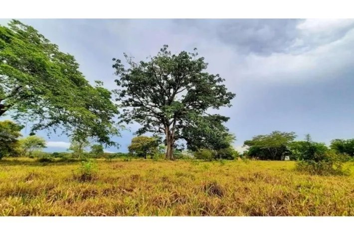 SE VENDE FINCA DE 5445 METROS CUADRADOS EN MARIATO, CERCA DE PLAYA REI...