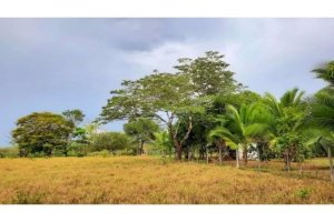 SE VENDE FINCA DE 5445 METROS CUADRADOS EN MARIATO, CERCA DE PLAYA REINA.