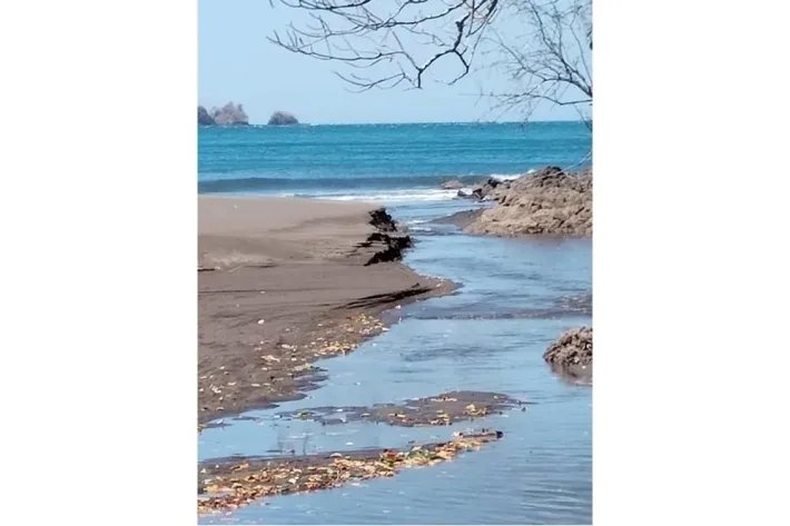 Propiedad frente a la playa tiene 6 hectáreas de tierra titulada, en P...