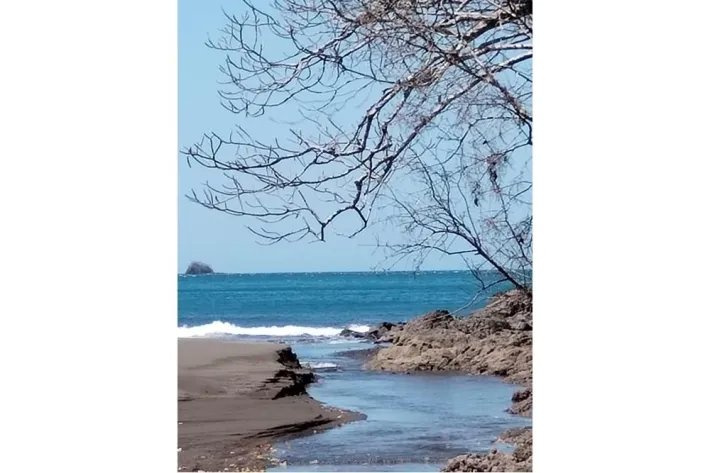 This amazing beach front property has 6 hectares of titled land, on Playa Punta Naranjo, El Cacao, Mariato, Veraguas.