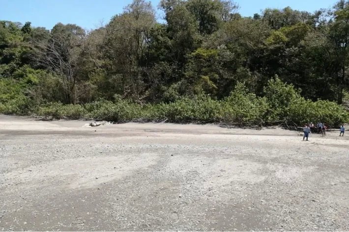 This amazing beach front property has 6 hectares of titled land, on Playa Punta Naranjo, El Cacao, Mariato, Veraguas.