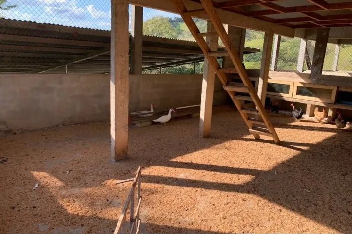 FINCA MUY BUENA EN EL ZANCUDO, DE 129 HECTAREAS (318.76 ACRES) A SOLO ...