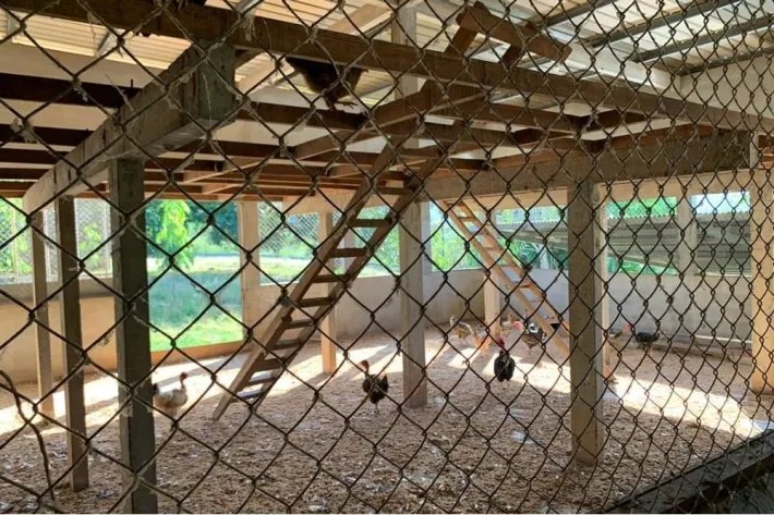 VERY GOOD FARM IN EL ZANCUDO, 129 HECTARES (318.76 ACRES) JUST 10 MINUTES FROM THE MAIN ROAD TO SONA, VERAGUAS.