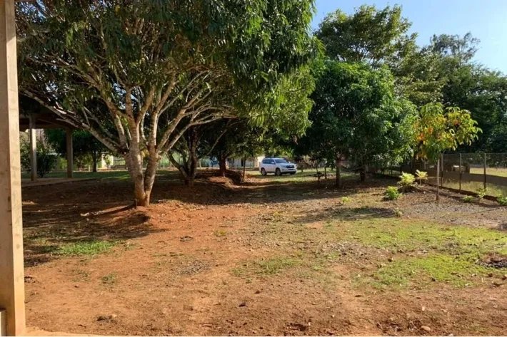 VERY GOOD FARM IN EL ZANCUDO, 129 HECTARES (318.76 ACRES) JUST 10 MINUTES FROM THE MAIN ROAD TO SONA, VERAGUAS.