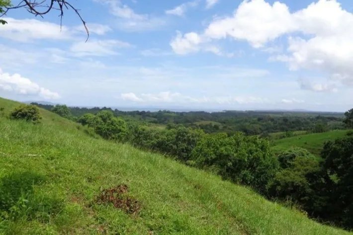 Venta de gran terreno en Palo Seco, Mariato, Veraguas