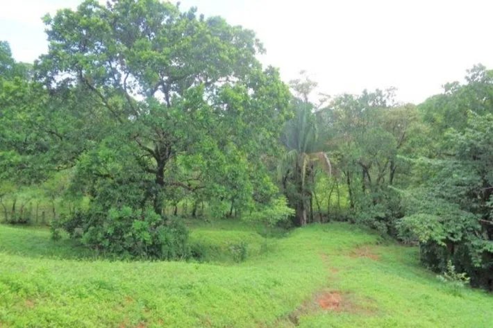 Venta de gran terreno en Palo Seco, Mariato, Veraguas