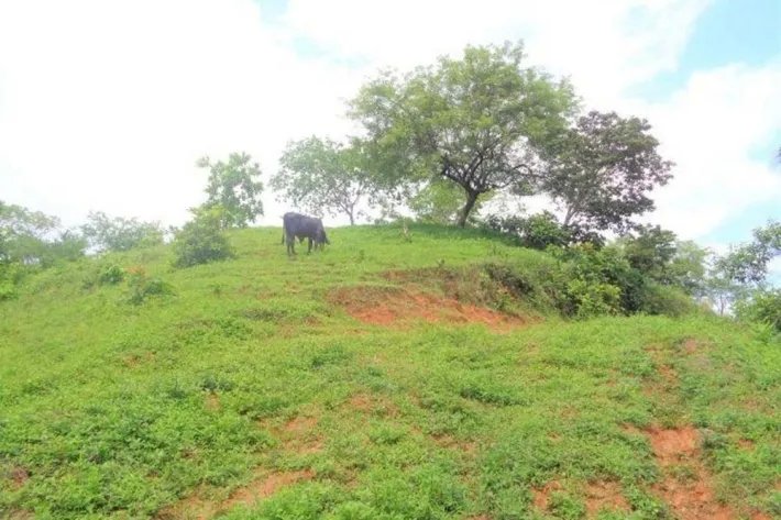 Venta de gran terreno en Palo Seco, Mariato, Veraguas