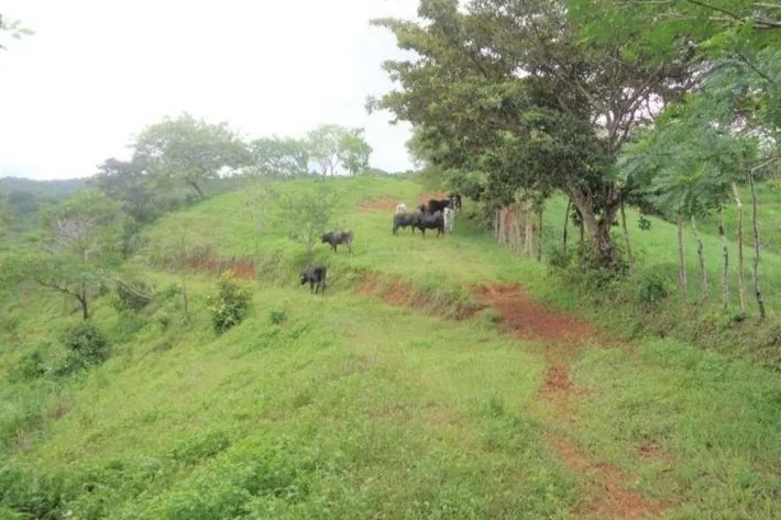 Venta de gran terreno en Palo Seco, Mariato, Veraguas