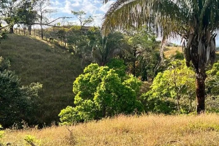 Venta de gran terreno en Palo Seco, Mariato, Veraguas
