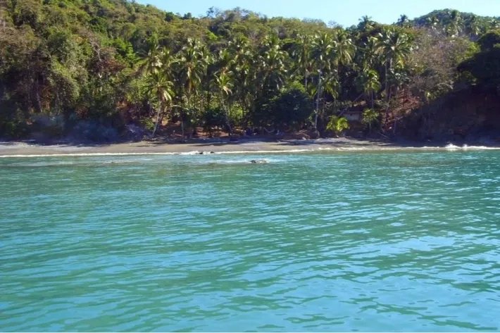 «Paraíso frente a la playa con más de 27 hectáreas tituladas con espec...
