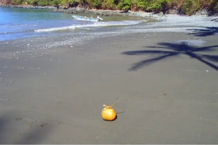 Fully Titled spectacular 27ha, 1.3 km ocean front property near Pixvae, Coiba