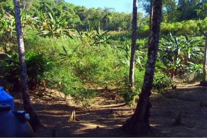 Fully Titled spectacular 27ha, 1.3 km ocean front property near Pixvae, Coiba