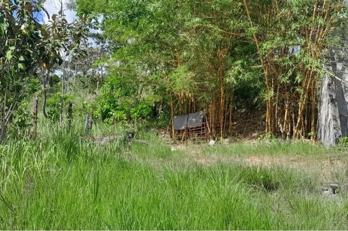 Lote comercial en venta en Torio, Veraguas
